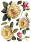 Collage de Fleurs IOD Transfer 12x16 Pad