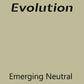 Evolution Paint - Emerging Neutral