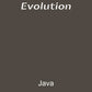 Evolution Paint - Java