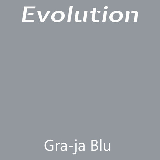 Evolution Paint - Gra-ja-Blu