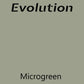 Evolution Paint - Microgreen