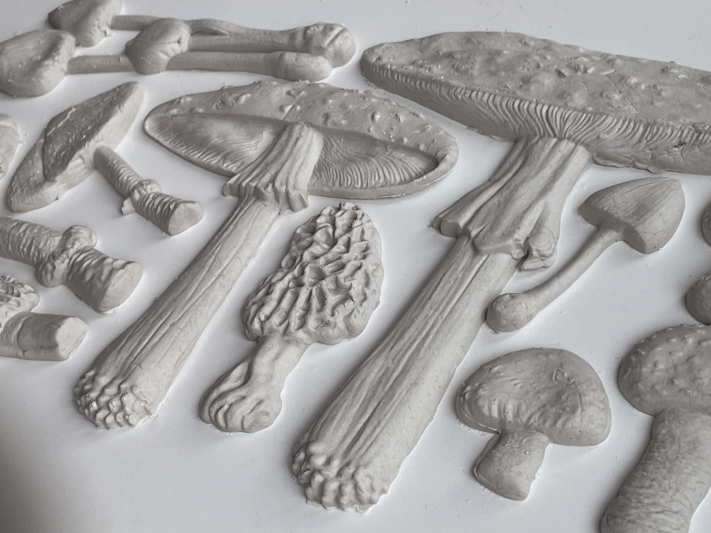 Toadstool 6X10 IOD Moulds™
