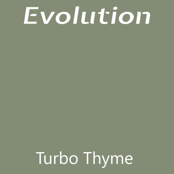 Evolution Paint - Turbo Thyme
