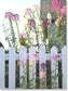 Floral Picket Fence Birthday Card  Front