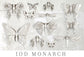 Monarch 6x10 Decor Moulds