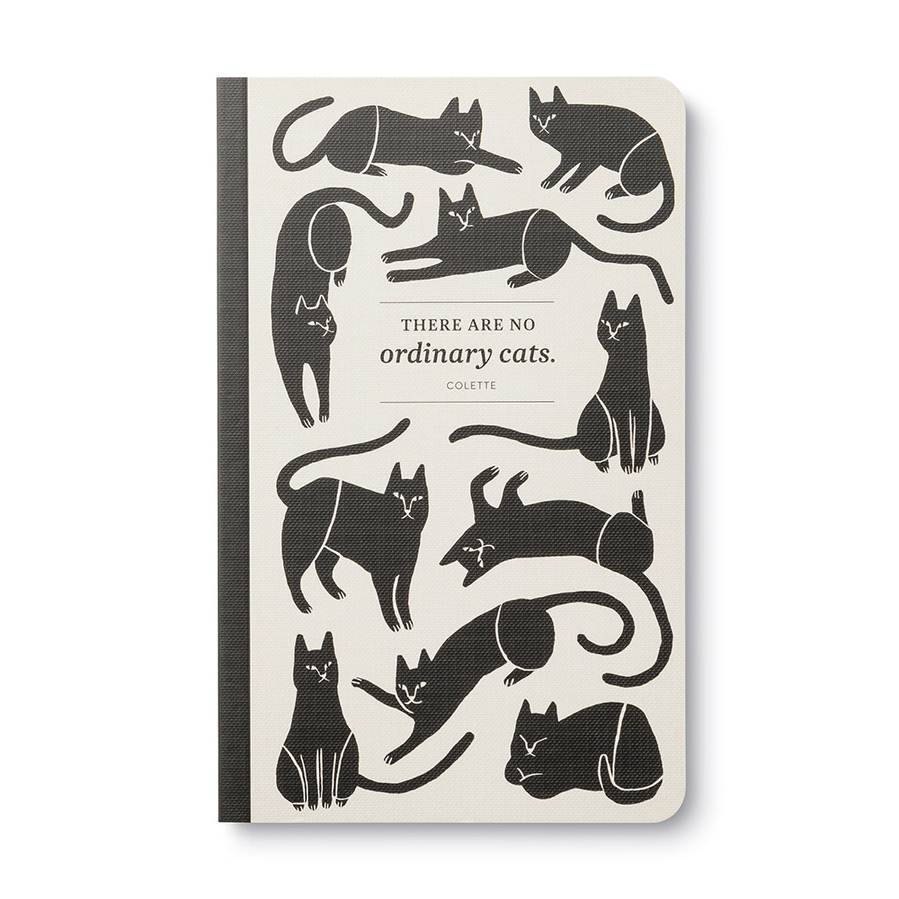 Write Now Journal - There are no ordinary cats